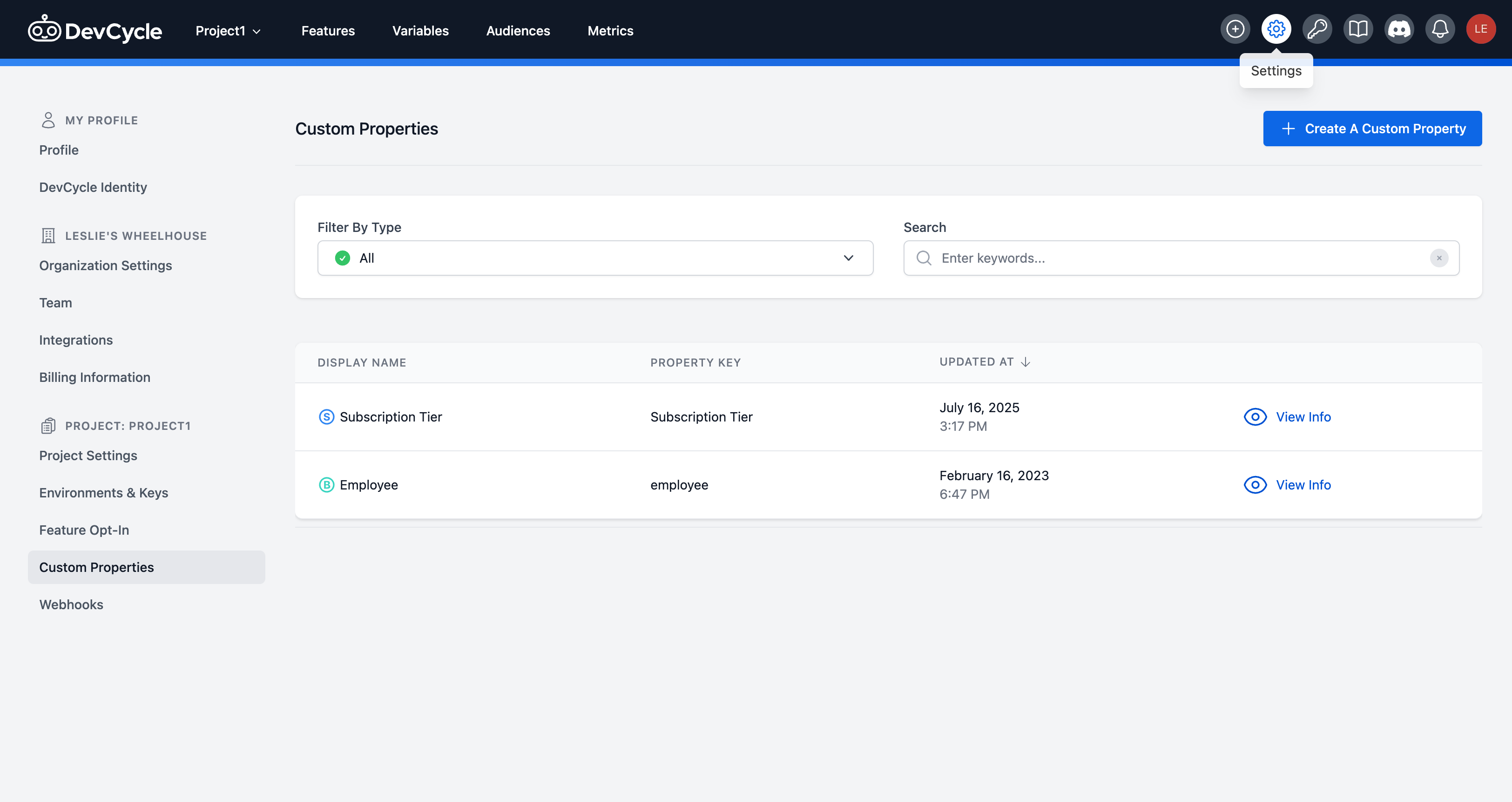 image of custom properties settings